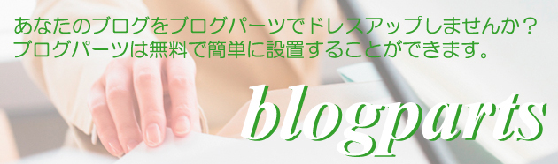 �u���O�p�[�c�C���[�W